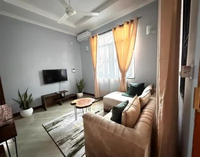 2 Bedroom Apartment in Kijitonyama with Backup power.